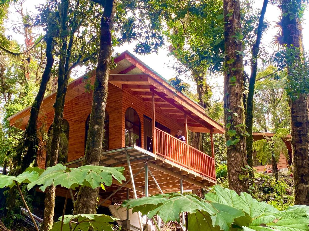 Cabana Anturios San José Buitenkant foto