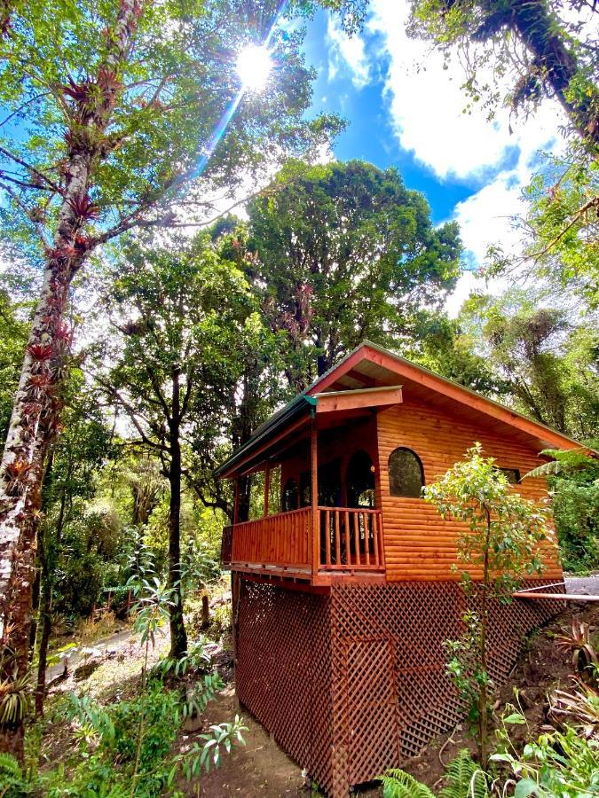 Cabana Anturios San José Buitenkant foto