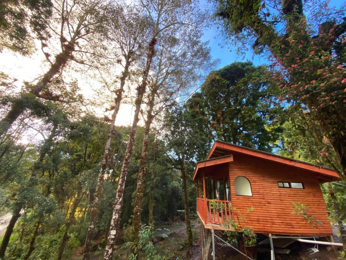 Cabana Anturios San José Buitenkant foto