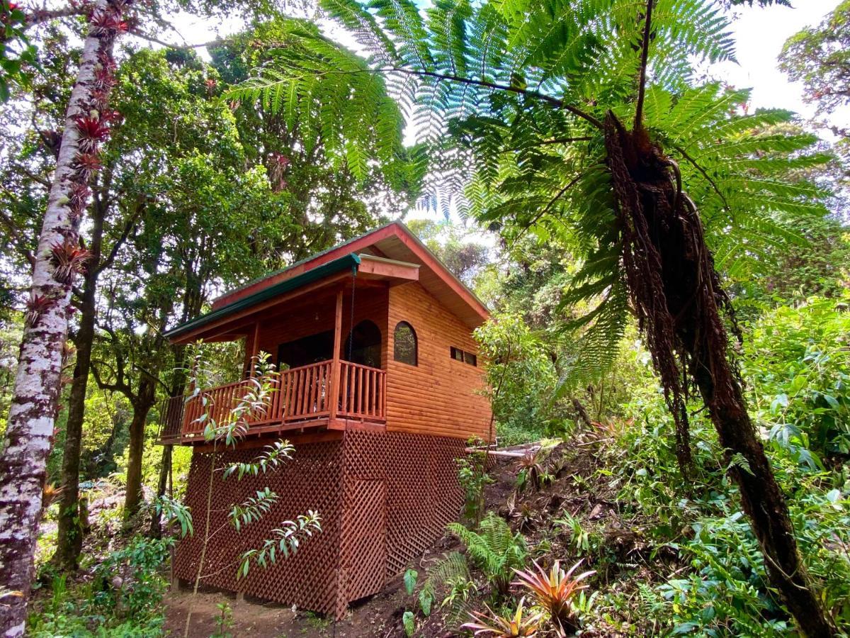 Cabana Anturios San José Buitenkant foto