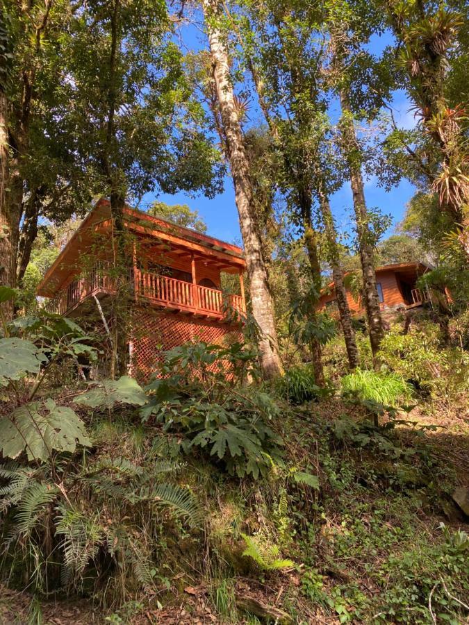 Cabana Anturios San José Buitenkant foto