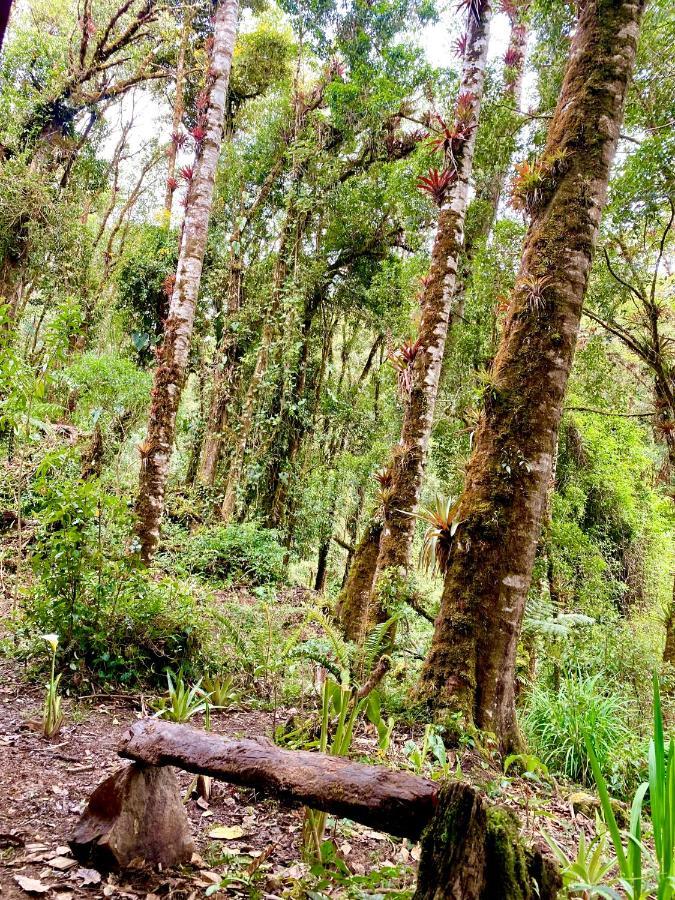 Cabana Anturios San José Buitenkant foto