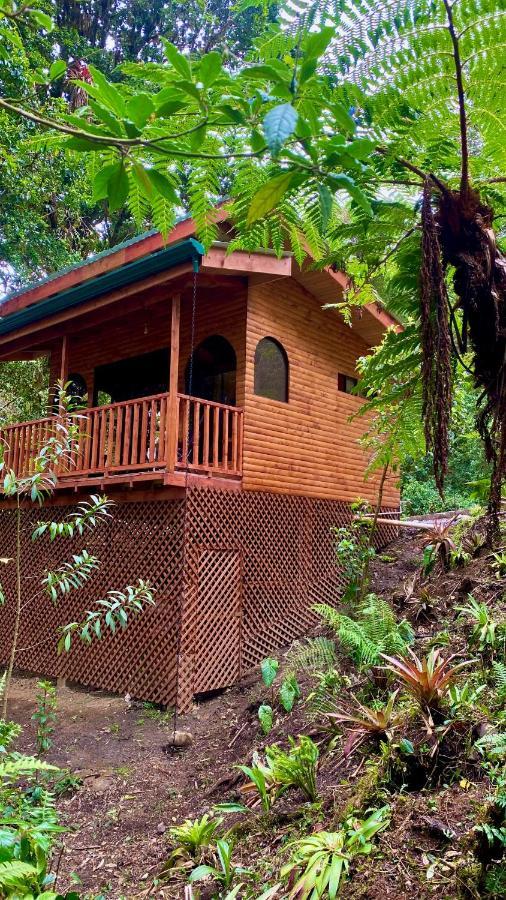 Cabana Anturios San José Buitenkant foto