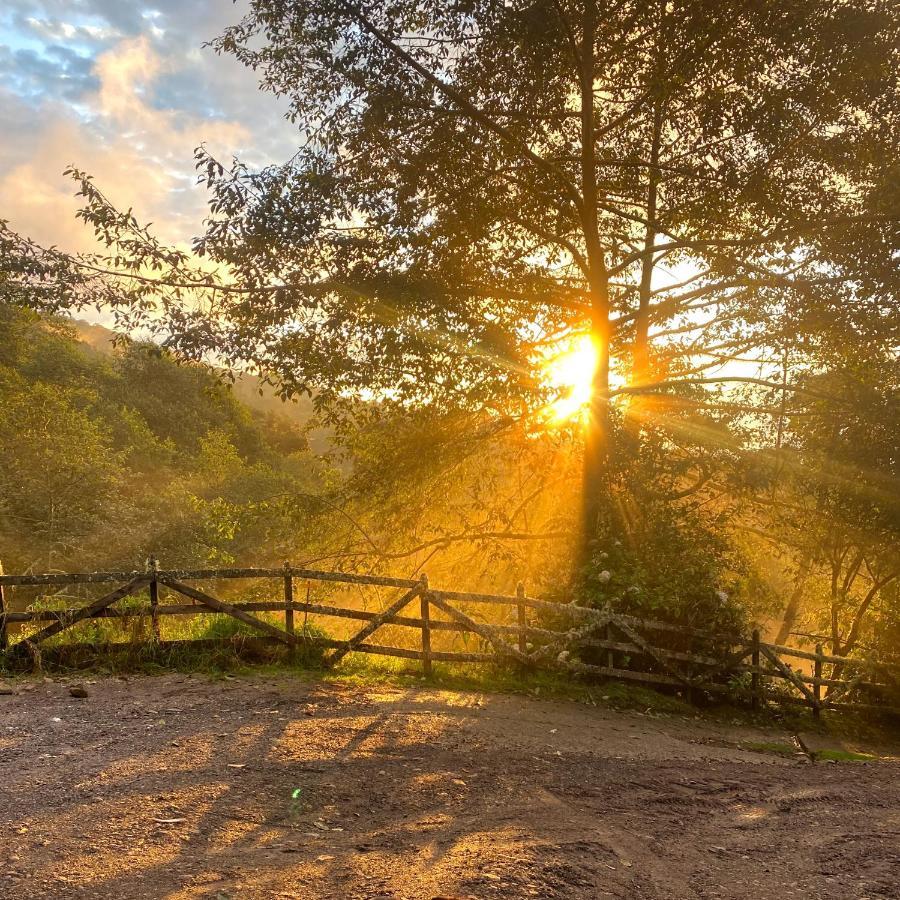 Cabana Anturios San José Buitenkant foto