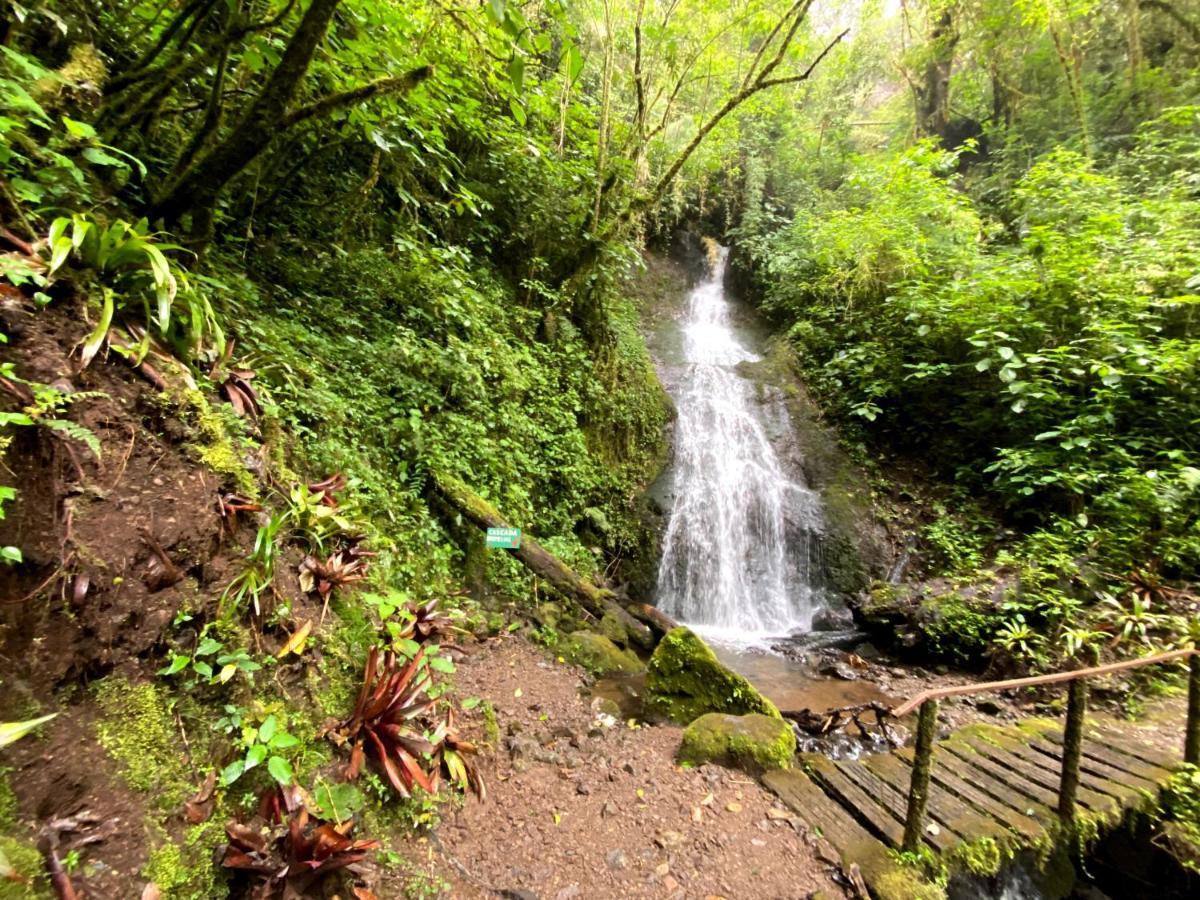Cabana Anturios San José Buitenkant foto