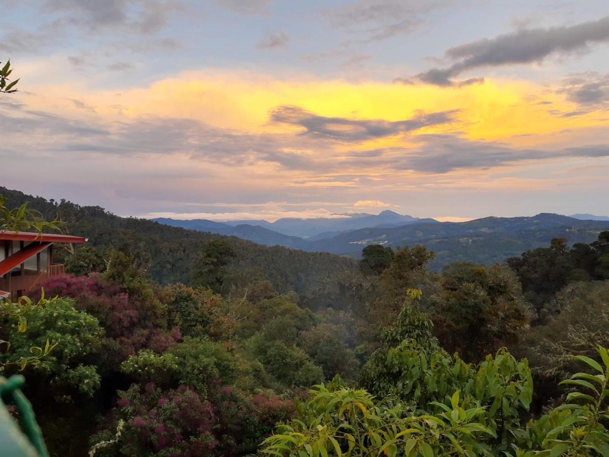 Cabana Anturios San José Buitenkant foto