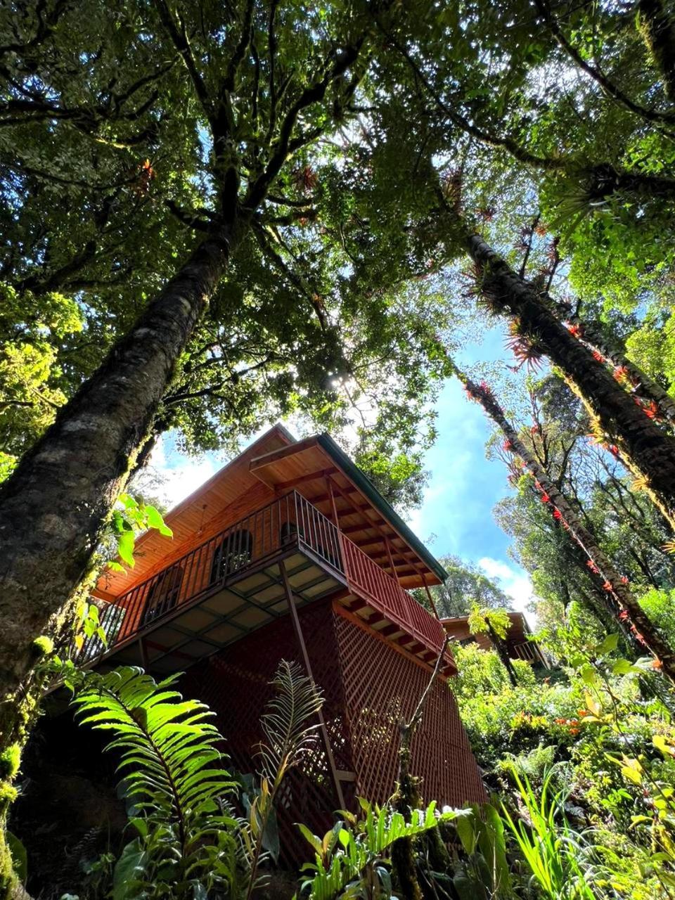 Cabana Anturios San José Buitenkant foto