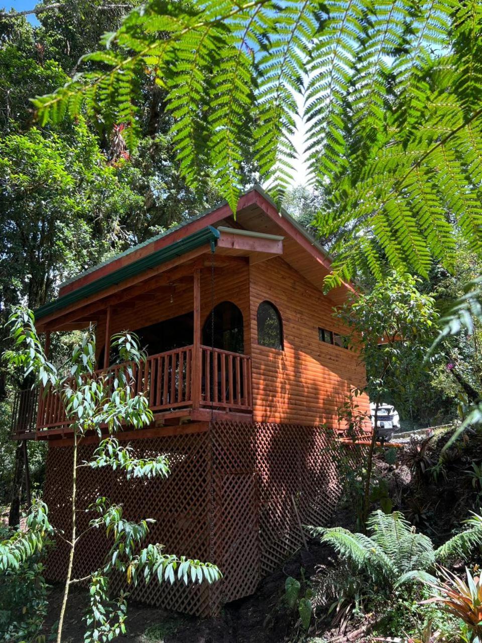 Cabana Anturios San José Buitenkant foto