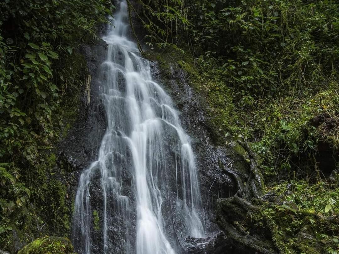 Cabana Anturios San José Buitenkant foto